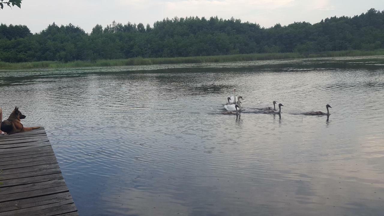 Domki Na Zytniej Kopalino Exteriér fotografie